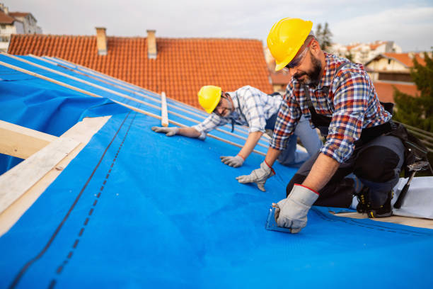 Best Emergency Roof Repair  in Pelham, GA