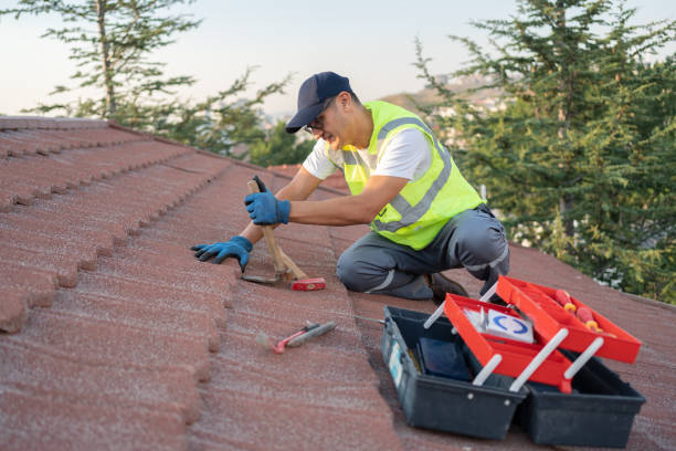 Best Roof Gutter Cleaning  in Pelham, GA