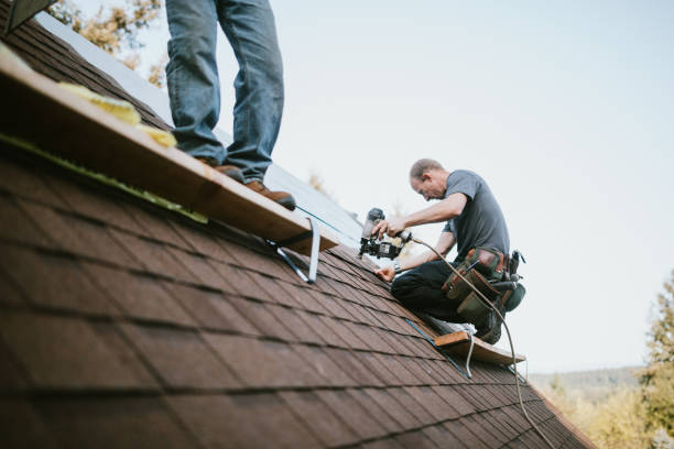 Roof Gutter Cleaning in Pelham, GA